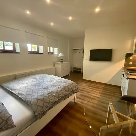V Ulicce Country house Frymburk